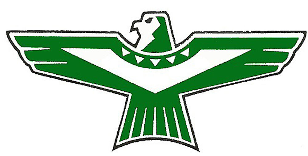 North Callaway Thunderbirds Logo
