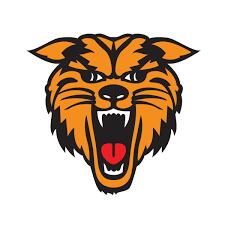 New Bloomfield Wildcats Logo
