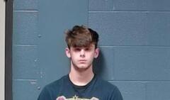 Mugshot of Mason, Blake Lewis