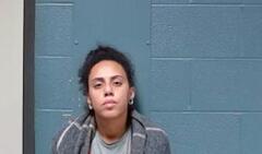 Mugshot of Fenton, Alexis Joy