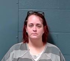 Mugshot of Hays, Leslie Ann 