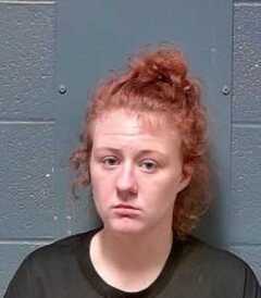 Mugshot of Evans, Brianna Dawn